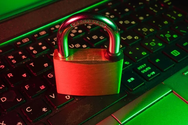 Theme and Plugin Security